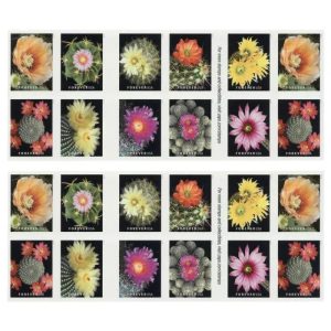 2019 Cactus Flowers Forever First Class Postage Stamps